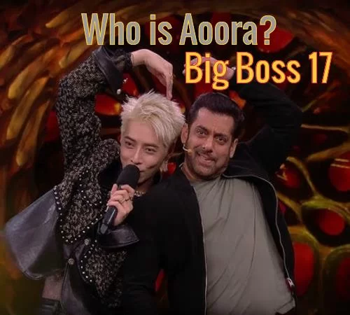 Who is Aoora in Big Boss? Park Min-jun Biography, Net worth, Career