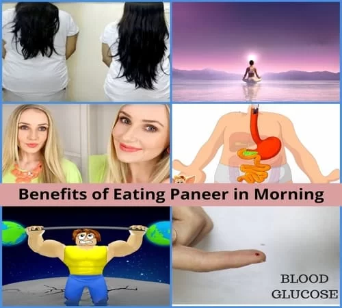 Tips and Guide: 7 Benefits of Eating Cheese or Paneer in Morning