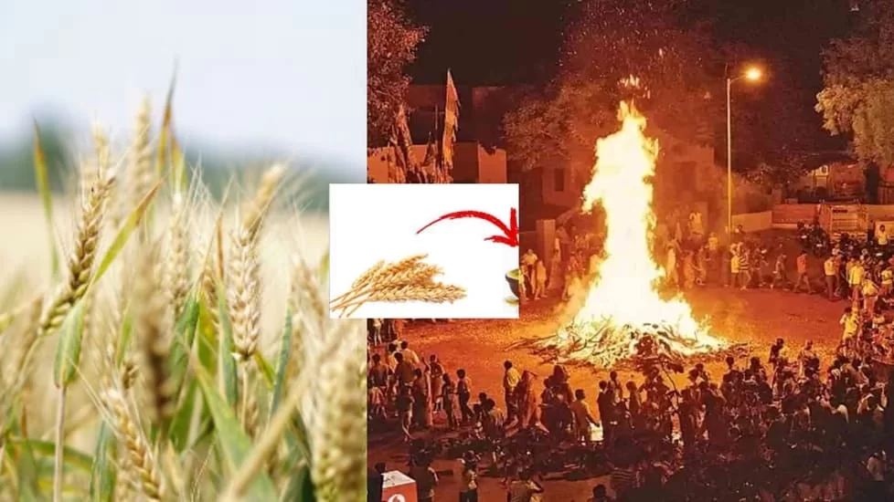 Use This Grain on Holika Dahan and Prosperity will knock at Your Door