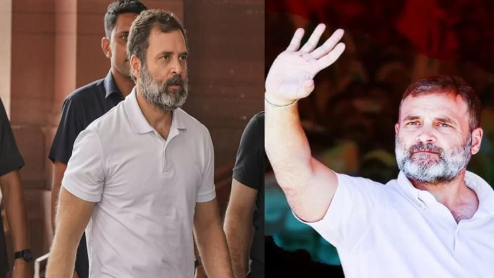 Rahul Gandhi to contest from Rae Bareli not Amethi, BJP said Fear of Defeat