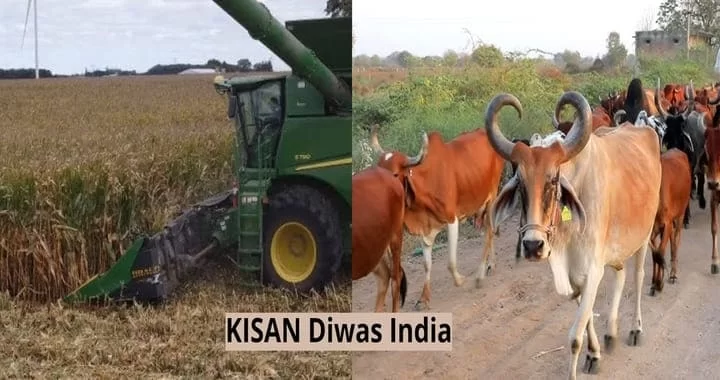 National Farmer Day India